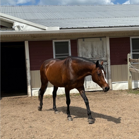 Welcome! - Picture 2 of 7